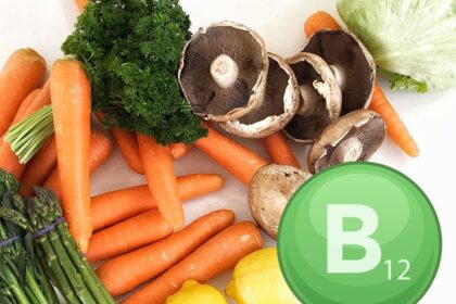 Vitamin B12 Vegetarian Food