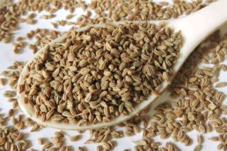 Ajwain Benefits :अजवाइन के फायदे