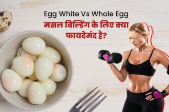 How Egg Helps In Building Muscle