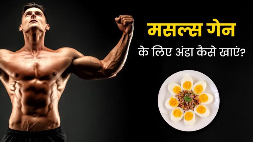 Egg White VS Whole Egg For Muscle Building In Hindi