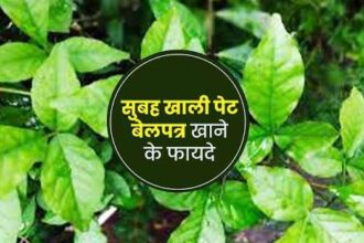 बेलपत्र के खाने फायदे | Bel Patra Khane Ke Fayde