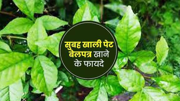बेलपत्र के खाने फायदे | Bel Patra Khane Ke Fayde