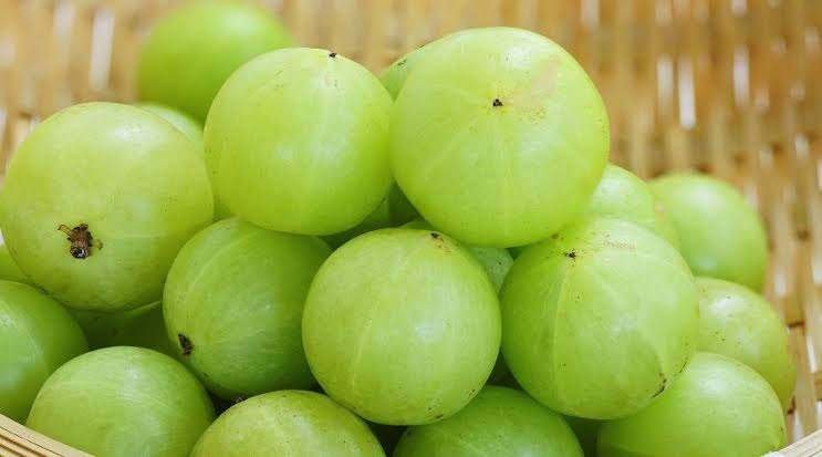 आंवला के फायदे (Amla Benefits and Uses in Hindi)