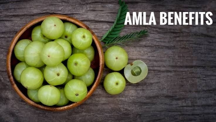 आंवला के फायदे (Amla Benefits and Uses in Hindi)